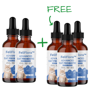 FeliFlora™ Cat Probiotics