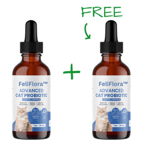 FeliFlora™ Cat Probiotics